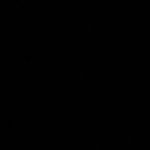 Meet your Posher, Layla